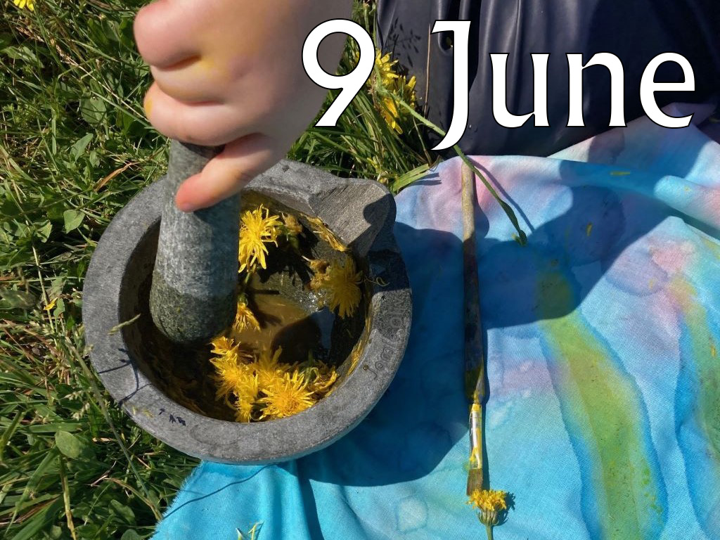 Butterflies (Age 3-8), 9 June 2025, 11am-1pm