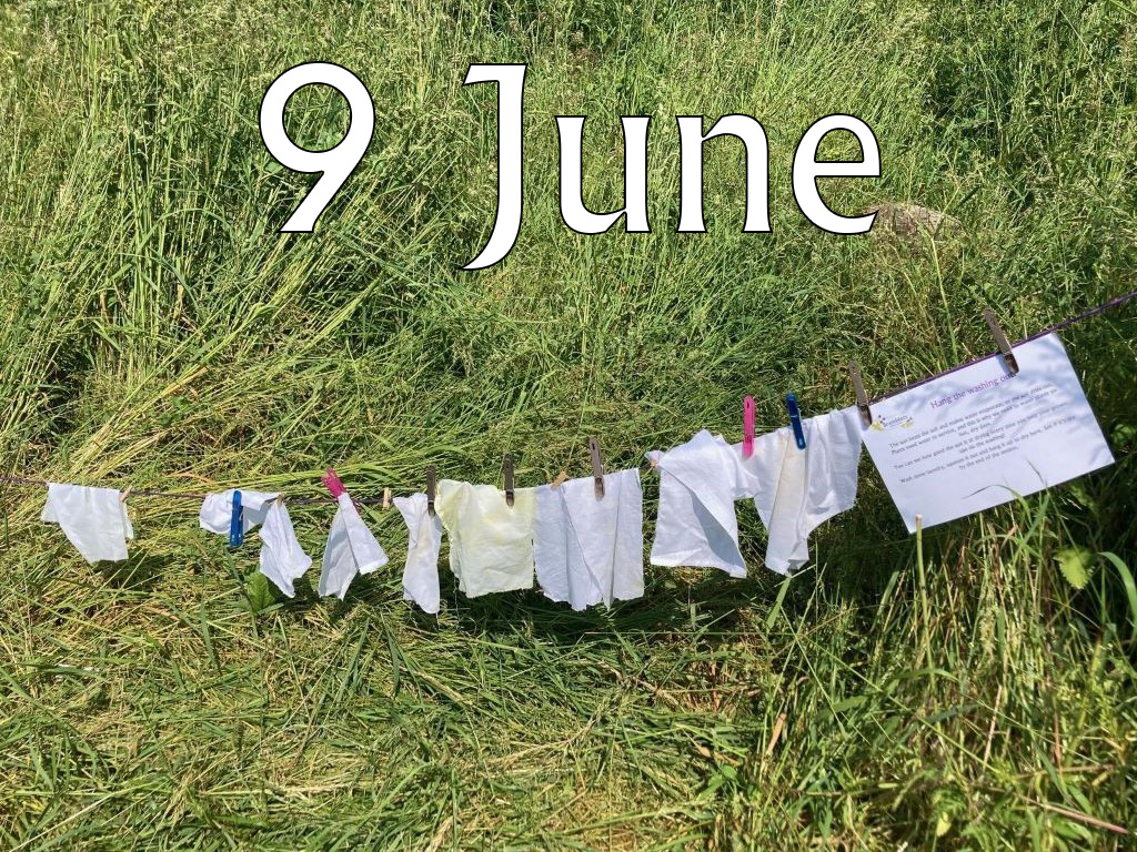 Caterpillars (Up To Age 2), 9 June 2025, 9.45-10.30am