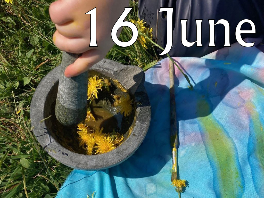 Butterflies (Age 3-8), 16 June 2025, 11am-1pm
