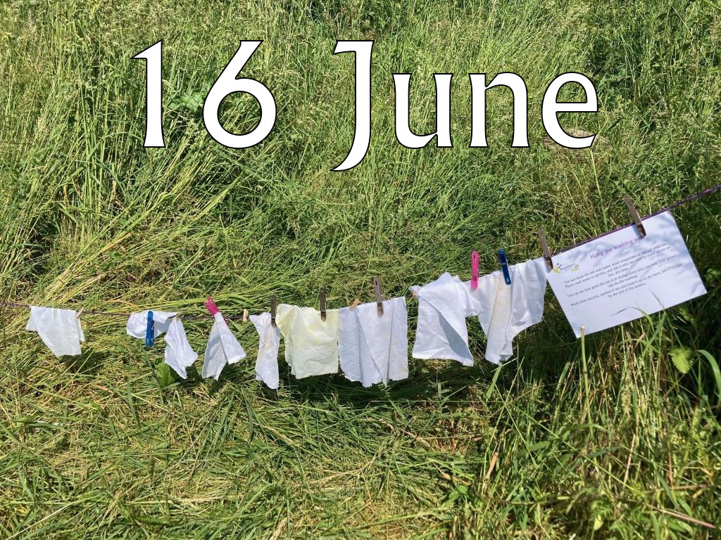 Caterpillars (Up To Age 2), 16 June 2025, 9.45-10.30am