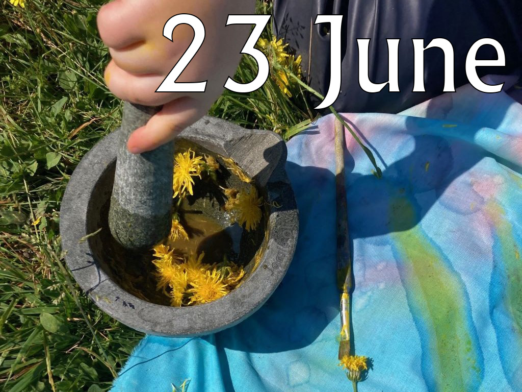 Butterflies (Age 3-8), 23 June 2025, 11am-1pm