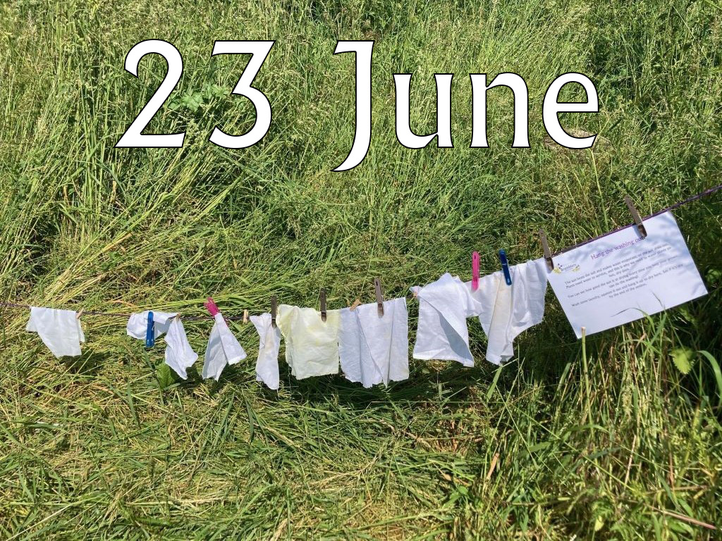 Caterpillars (Up To Age 2), 23 June 2025, 9.45-10.30am