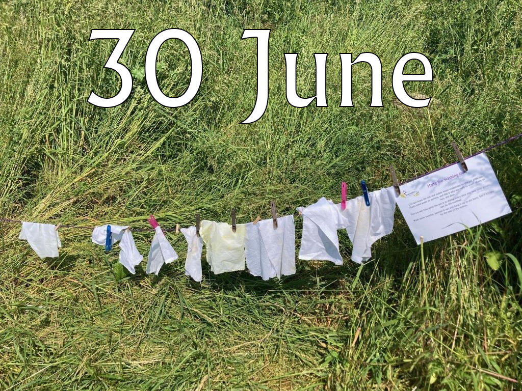 Caterpillars (Up To Age 2), 30 June 2025, 9.45-10.30am