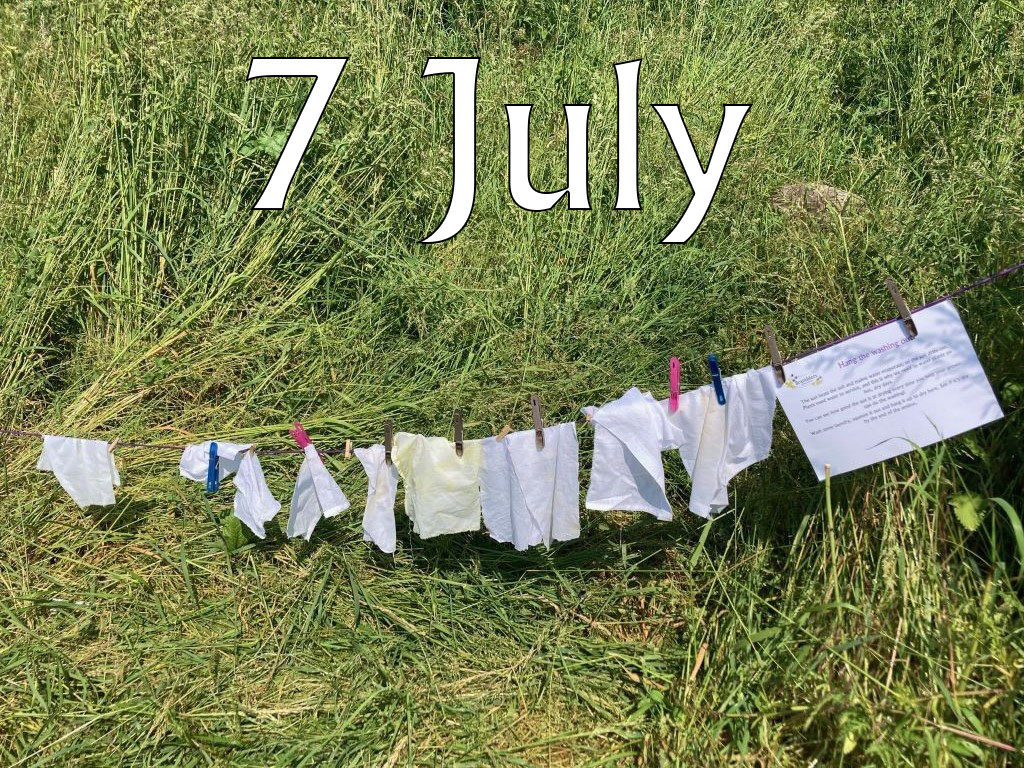 Caterpillars (Up To Age 2), 7 July 2025, 9.45-10.30am