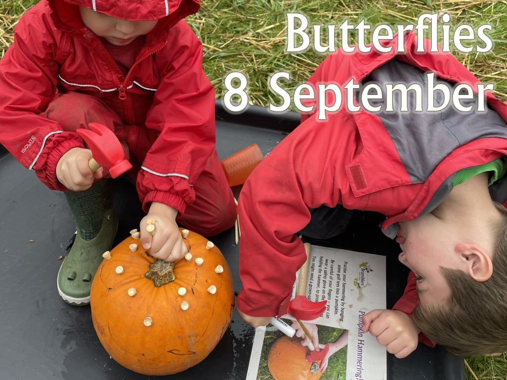 Butterflies (Age 3-8), 8 September 2025, 11am-1pm 