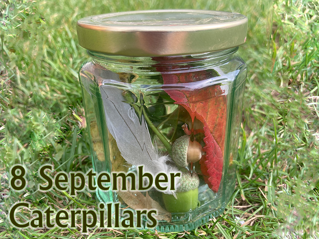 Caterpillars (Up To Age 2), 8 September 2025, 9.45-10.30am 