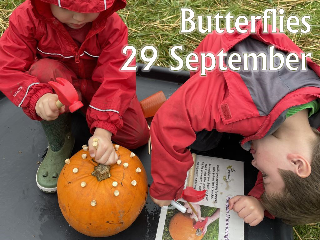 Butterflies (Age 3-8), 29 September 2025, 11am-1pm 
