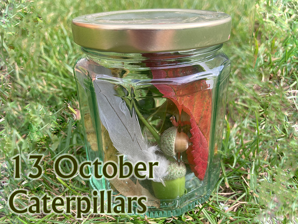 Caterpillars (Up To Age 2), 13 October 2025, 9.45-10.30am 
