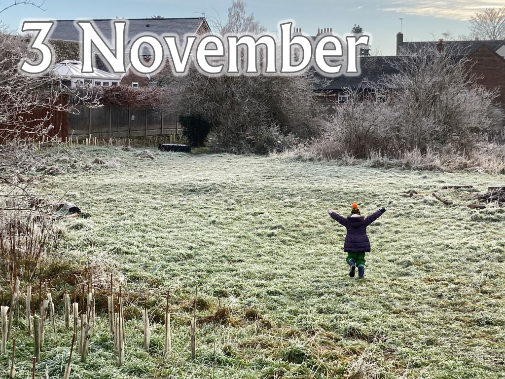 Caterpillars (Up To Age 2), 3 November 2025, 9.45-10.30am