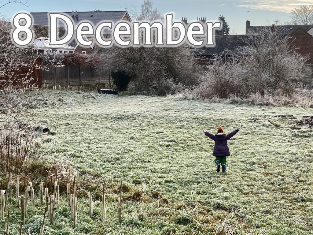 Caterpillars (Up To Age 2), 8 December 2025, 9.45-10.30am