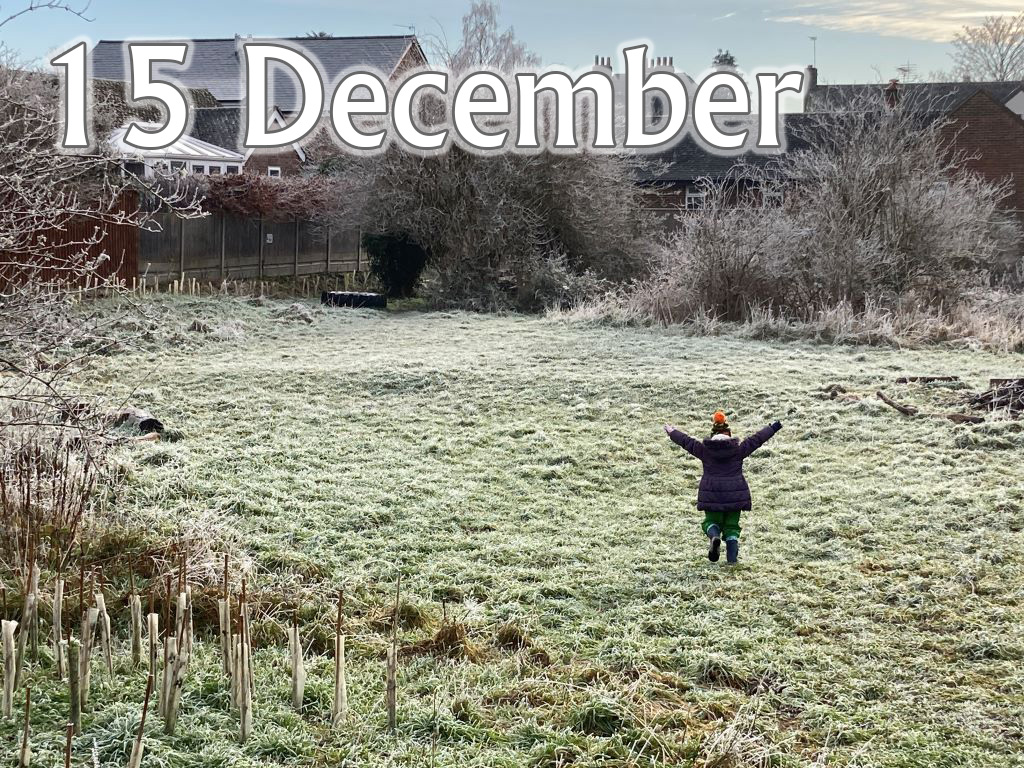 Caterpillars (Up To Age 2), 15 December 2025, 9.45-10.30am