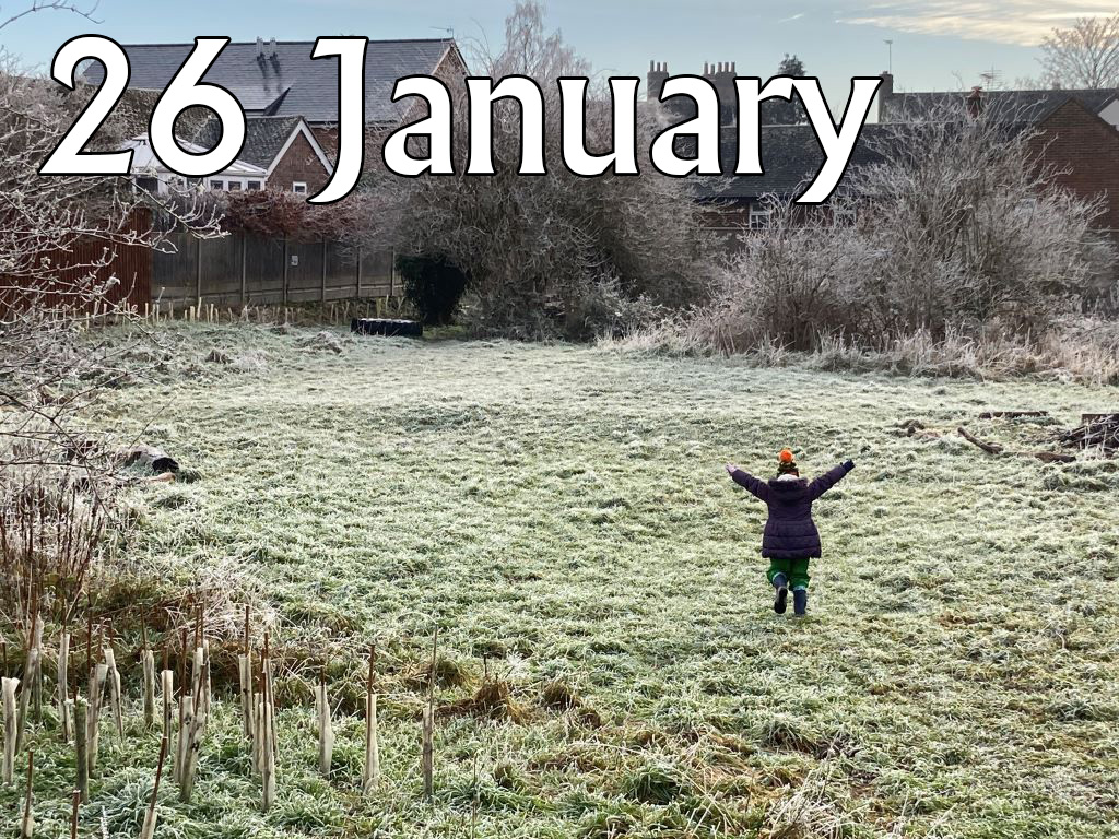 Caterpillars (Up to Age 2), 26 January 2026, 9.45-10.30am