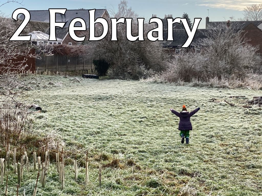 Caterpillars (Up to Age 2), 2 February 2026, 9.45-10.30am